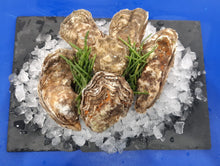 Load image into Gallery viewer, Oysters - each
