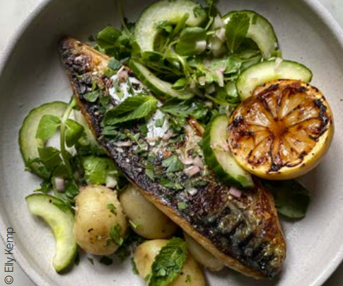 BBQ Mackerel with Pickled Cucumber and Charred Lemon Salad