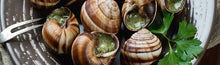 Load image into Gallery viewer, Snails in Garlic Butter
