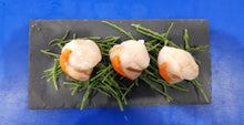 Load image into Gallery viewer, Fresh Scallops - 3 per portion
